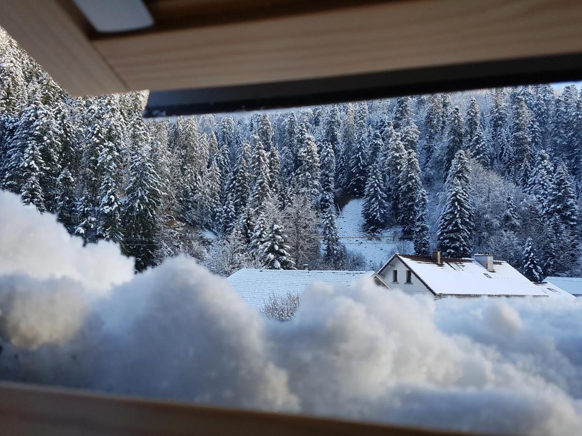 Le Petit Kichon Apartamento Gérardmer Exterior foto