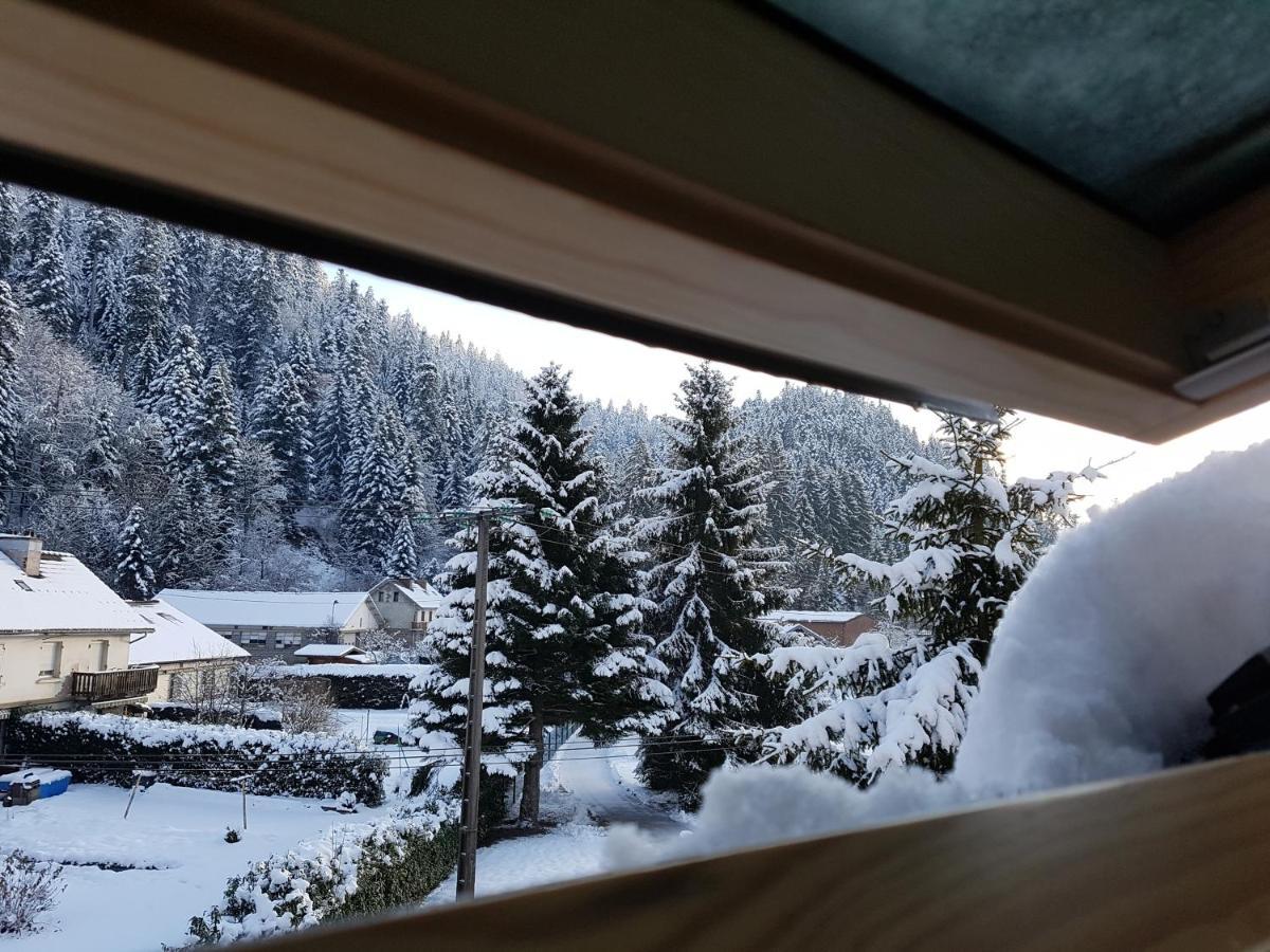 Le Petit Kichon Apartamento Gérardmer Exterior foto